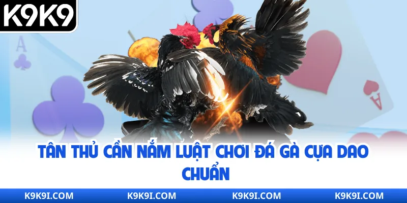 Tân thủ cần nắm luật chơi đá gà cựa dao chuẩn
